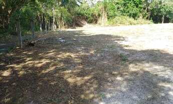 Imagem 3: Terreno para fazer chácara em Guaratuba