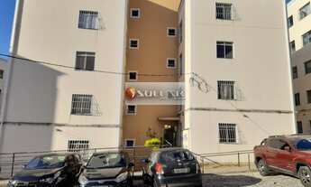 Imagem 3: Belo Horizonte - Apartamento Padrão - São João Batista (Venda Nova