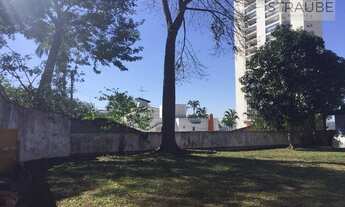 Imagem 4: Terreno Plano a Venda na Vila Oliveira