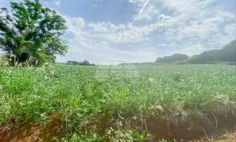 Imagem 2: Vendas Chácara Pato Branco PR