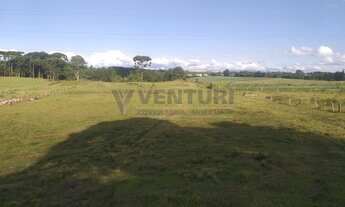 Imagem: SãO JOSé DOS PINHAIS - Terreno Padrão