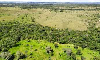 Imagem 4: Fazenda em Araguacema, Tocantins