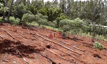 Imagem 7: Chacara Rica em Agua