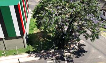 Imagem 6: Sol Matinal 3 Dorm sendo 1 Suite p