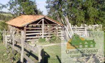 Imagem 6: Sítio para venda em Pereiras possui 03 alqueires