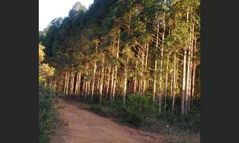 Imagem 5: Fazenda 800ha Cristália/MG - 90 ha Eucalipto, represas e nascentes