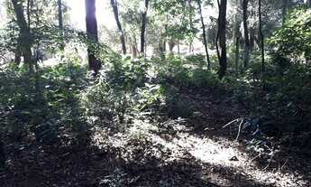 Imagem 5: Chácara à venda, 4 quartos, 5 vagas, Bela Vista - Pindamonhangaba/SP