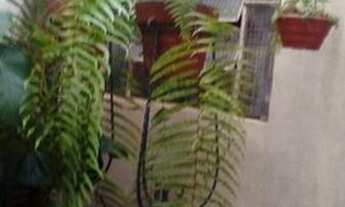 Imagem 3: Casa- Petrópolis, Valparaíso