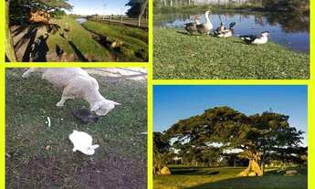 Imagem 5: Sobrado no Condomínio Marítimo, em Tramandaí, 4 dormitórios