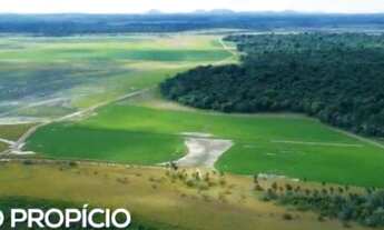 Imagem 4: Fazenda/ Bonfim Fazenda / sítio com venda por R$10.000