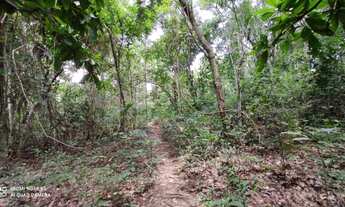 Imagem 3: Área nas Margens do Rio Quente 12.643,39
