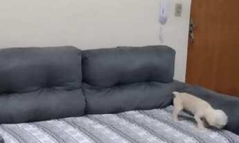 Imagem 4: Apartamento para Venda em Sorocaba, Ipanema Ville, 2 dormitórios, 1 banheiro, 1 vaga