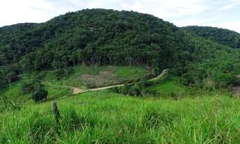 Imagem 3: Sítio 9 Alqueires, Pasto, Nascentes (Willian Ricardo