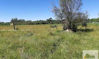 Imagem: Sítio de 20.000 m2 em Cesário Lange