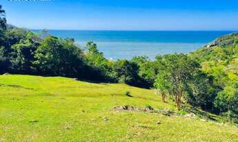 Imagem 5: Terreno à venda, 17400 m² por R$ 3.500.000,00 - Praia da Ferrugem - Garopaba/SC