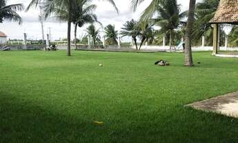 Imagem 5: Excelente Fazenda com 460 hectares na região de Bom Jesus top de luxo