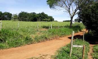 Imagem: Fazenda 04 Alqueires Petronilina. Terra