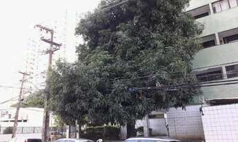 Imagem 3: Vendo apt na torre 3 quartos 72 mts, varanda ventilado, elevador,bem localizado