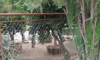 Imagem 7: Sítio para comprar Lagoa dos Mares Confins