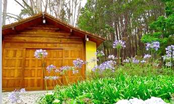 Imagem 6: Fazenda/Sítio/Chácara para venda com 1200 metros quadrados com 8 quartos