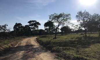 Imagem 7: Fazenda/Sítio/Chácara para venda possui * metros quadrados