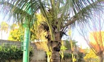 Imagem 7: Chácara com terreno de 2000 m²