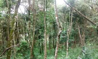 Imagem 5: Nova Lima - Loteamento/Condomínio - Pasárgada