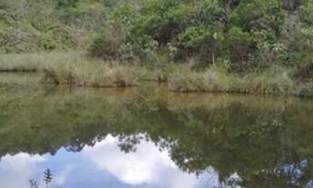 Imagem 6: Terreno 15.5 Hectares em Passa Tempo MG
