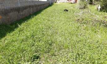 Imagem 5: Excelente oportunidade no Ribeirão da Ilha em Florianópolis