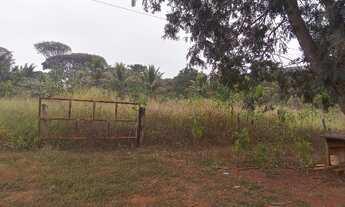 Imagem 7: Chácara de 5.000mt