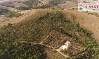 Imagem: Oportunidade para empreendimento, pecuaria