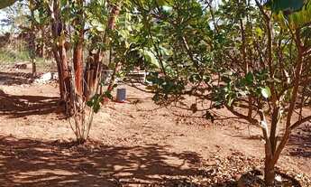 Imagem 3: Terreno de 400 mtrs com barracão de 3 cômodos e banheiro