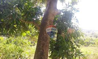 Imagem 3: Excelente Casa com 4 dormitórios, 216 m² - venda por R$ 300.000 ou aluguel por R$ 800/mês