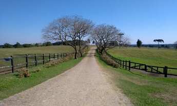 Imagem: Haras/Fazenda/Sítio/Chácara para venda