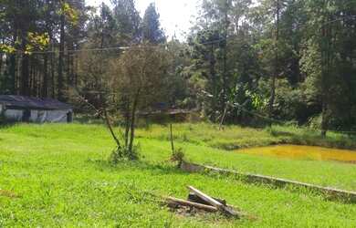 Imagem 4: Rural de 12000 metros quadrados no bairro Ipelândia com 3 quartos
