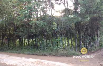 Imagem 2: Terreno à venda em Mairiporã com 3.000 m²