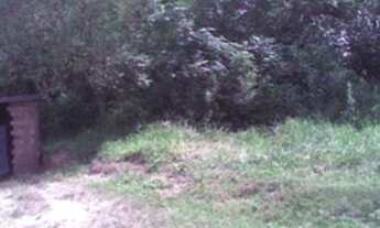 Imagem 4: Porto Alegre - Terreno Padrão - Belém Novo