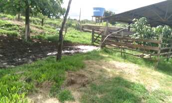 Imagem 2: Fazenda - Mairipotaba (GO