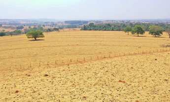 Imagem: Fazenda Dupla Aptidão