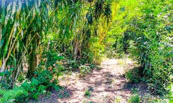 Imagem 5: Terreno para venda em Santa Dalila (Suruí) - Magé - RJ