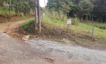 Imagem 6: Super BARBADA no Sertão do Ribeirão da Ilha em Florianópolis