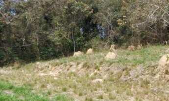 Imagem 2: Chácara em Quatinga