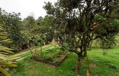 Imagem 6: Porto Alegre - Terreno Padrão - Hípica