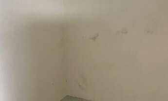 Imagem 7: Casa Solta 150 M2 Com Suíte Siqueira Campos