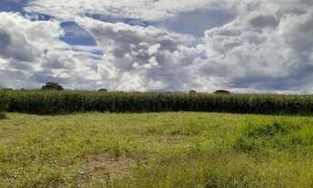 Imagem 4: Vendo Fazenda de 60 hectares região da lagoinha 25km do Gama_DF