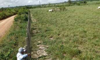 Imagem 6: Fazenda/Sítio/Chácara para venda tem 6.290.000 m² , na TransCametá - Cametá - PA