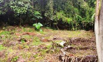 Imagem 4: Terreno - Poço Escuro - santo Aleixo