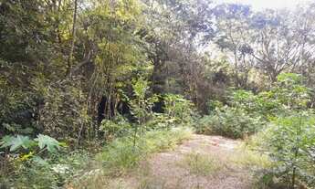 Imagem 5: Chácara arborizada de fácil acesso, localizada em Taquara RS!