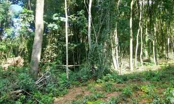 Imagem 5: Chácara de 1 hectare com vertentes pir apenas $$49.900, localizada em Taquara RS!!!