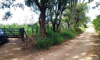 Imagem 2: Sítio para Venda em Votorantim, Carafá